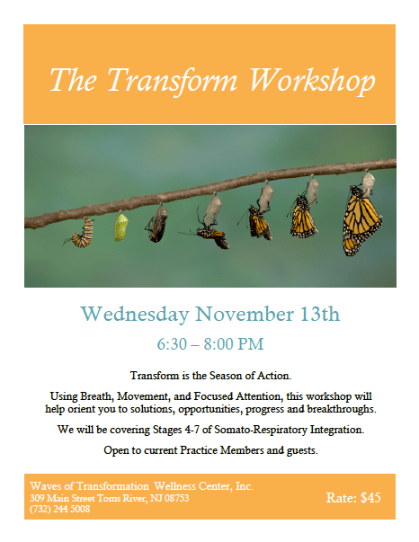 The Transform Workshop 2013