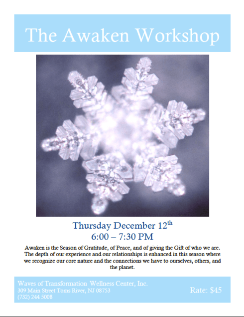 SRI Awaken Workshop 2013